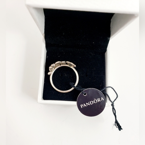 PANDORA Shimmering Bouquet .925 Sterling Silver Ring - Picture 13 of 13